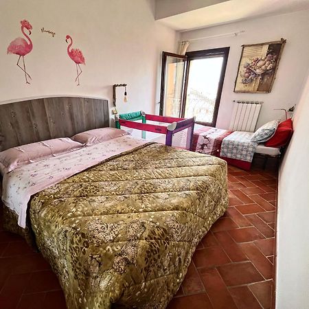 Pink Flamingo Accomodation Комаккьо Экстерьер фото